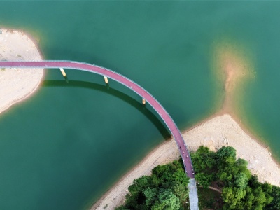  Ký ức Kẻ Gỗ